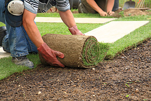 Lawncare, Lawn Maintenance & Groundskeeping Services